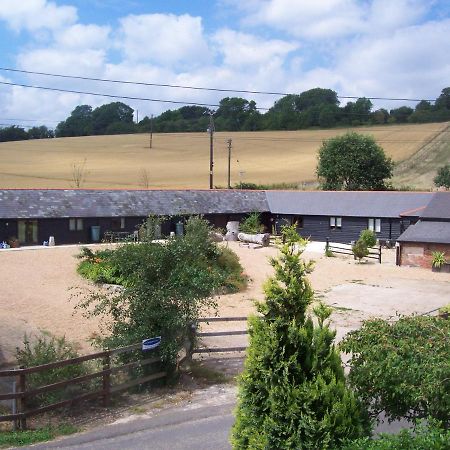 Five Cottages In Aonb And A Hobbit House! Canterbury Exteriér fotografie